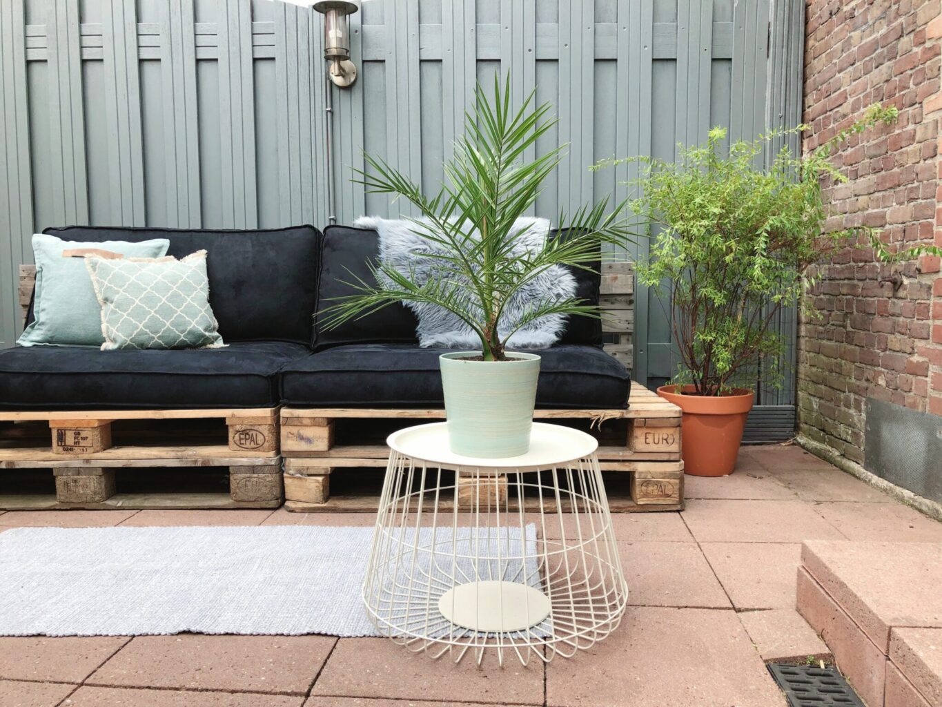 tuin make-over resultaat: dubbele pallet bank met zwarte kussens, metalen tafeltje met palm erop.
